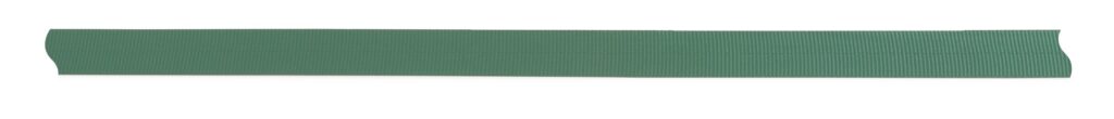 1 Inch Tubular Webbing Green / Per Foot-This product is not eligible for return.
