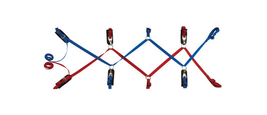 Patient Tie-In System For One-Piece Litter (Red/Blue)