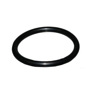 O'RING (EZFLO PURGE BODY)